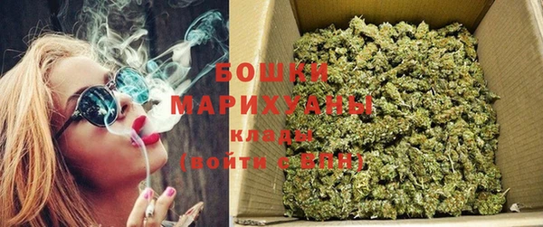 шишки Арсеньев