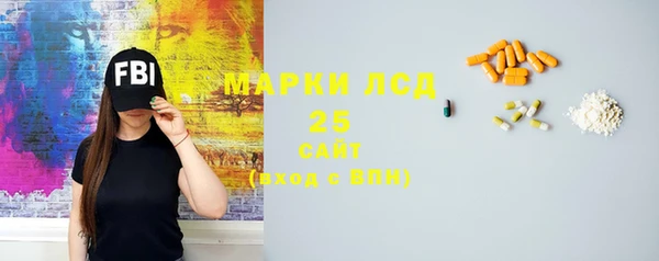 шишки Арсеньев