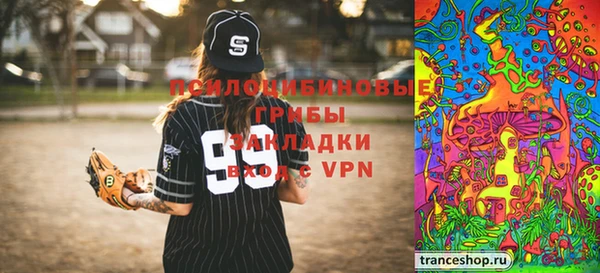 шишки Арсеньев
