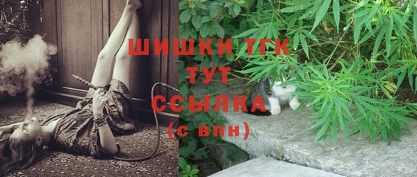 a pvp Бородино