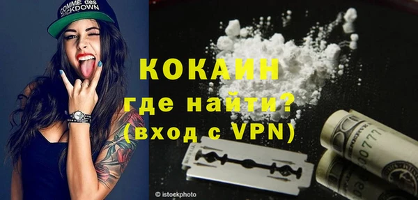 шишки Арсеньев