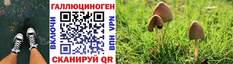 Галлюциногенные грибы Psilocybe  Джанкой 