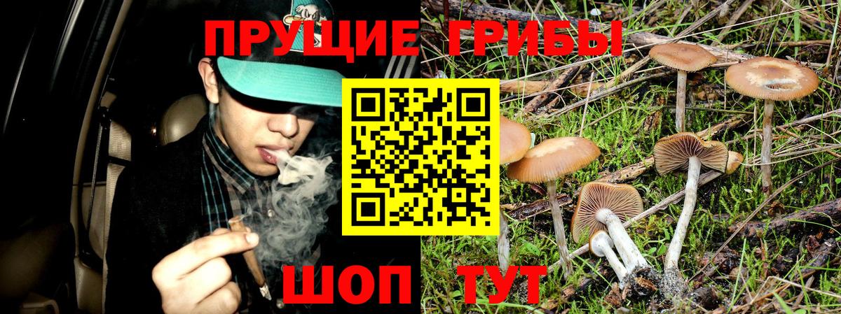 Джанкой  Галлюциногенные грибы Psilocybe  Вход с VPN  Галлюциногенные грибы Psilocybine cubensis 